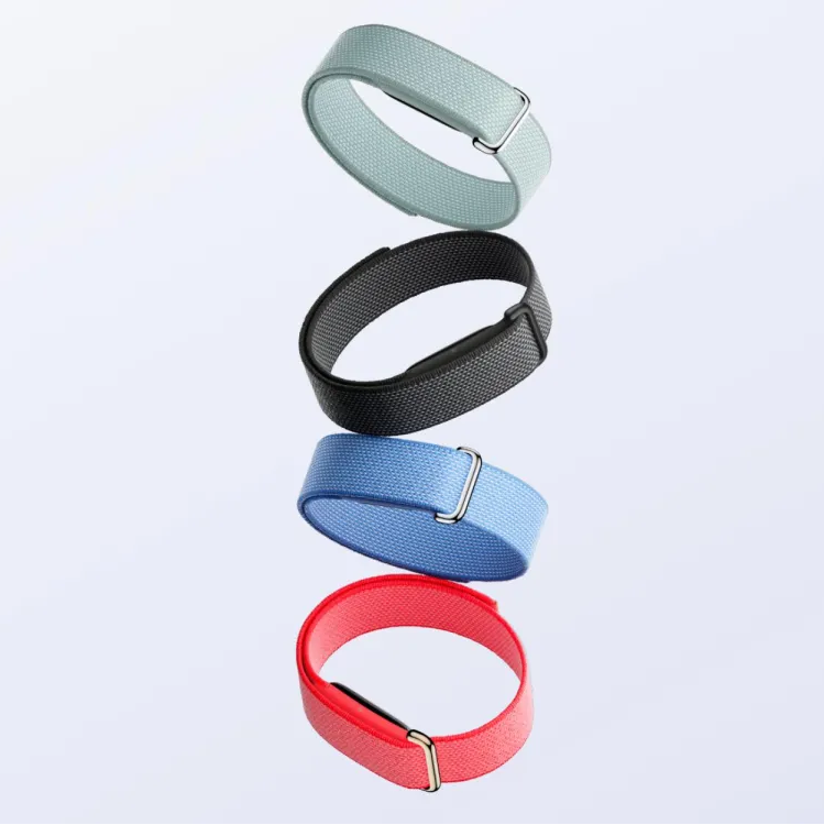 Google Fitbit Air Performance Loop Band