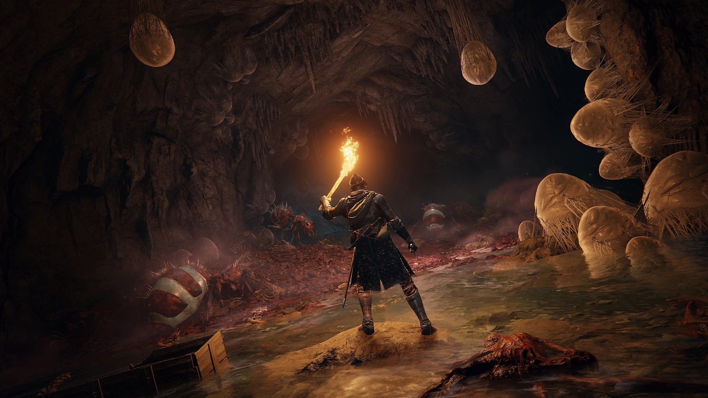Elden Ring - Playstation 4 & 5 - Primary Digital (Online/Offline) Game
