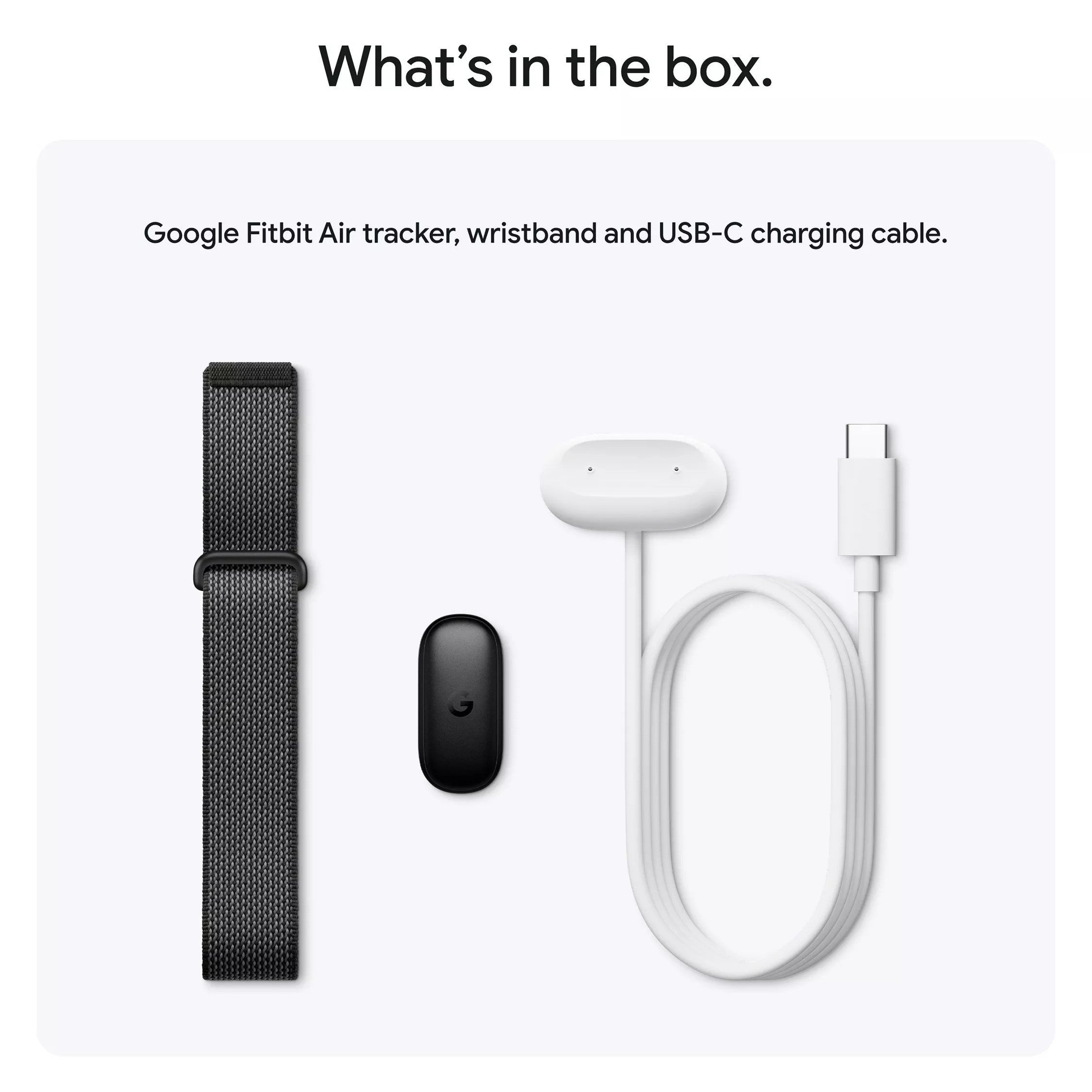 Google Fitbit Air Performance Loop Band